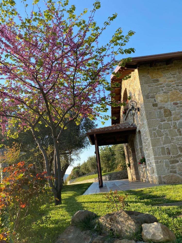 Bujtina Salko Villa Mucaj Exteriör bild